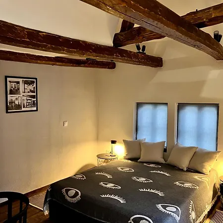туйковата къща The Tuikov House 펜션 *