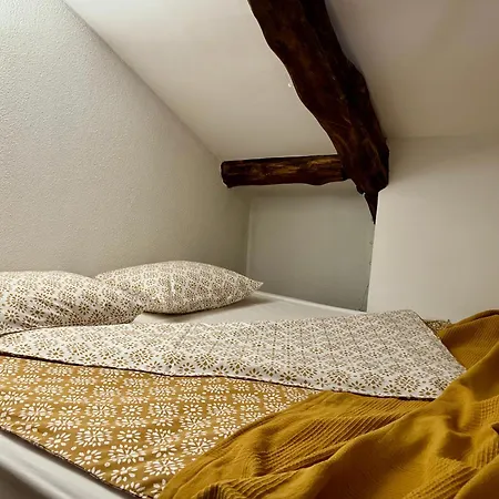 туйковата къща The Tuikov House *