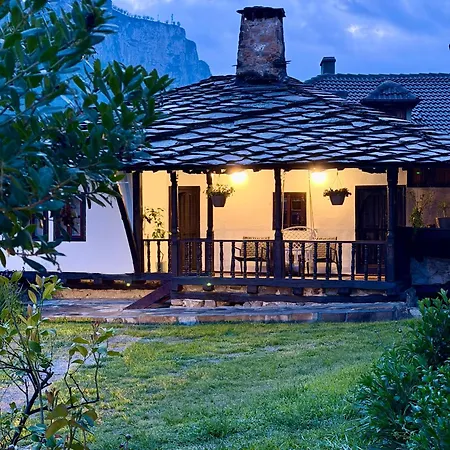 туйковата къща The Tuikov House 펜션 *