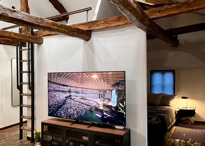 туйковата къща The Tuikov House Hébergement de vacances *