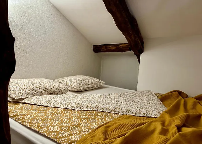 туйковата къща The Tuikov House *